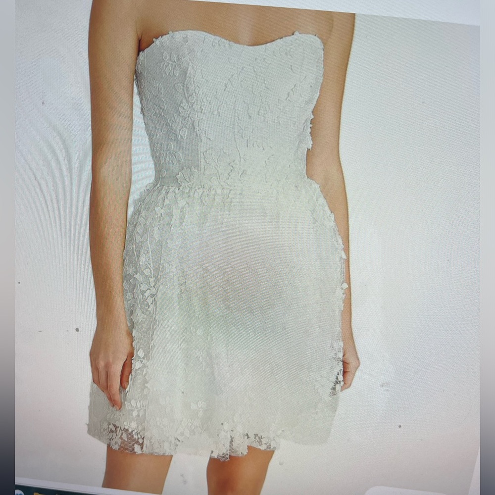 Gorgeous Monique Lluillier embroidered strapless mini dress
